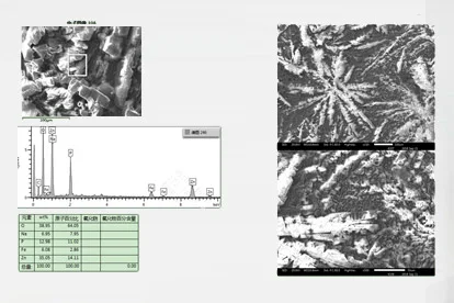 Photo au microscope électronique